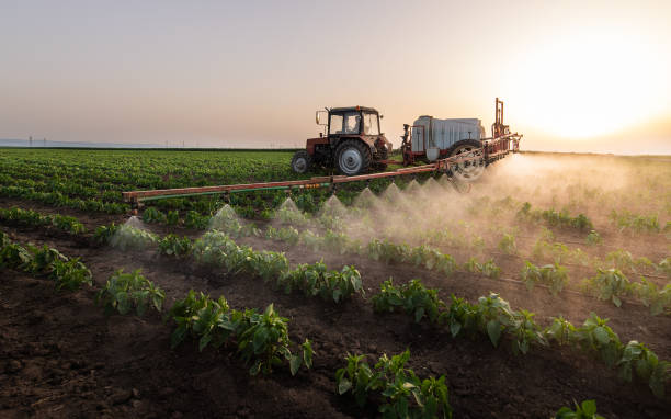 Best Best Pest Control Companies  in Sonterra, TX