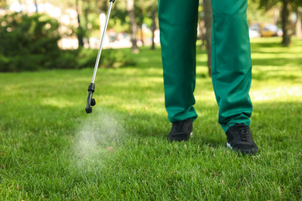 Best Flea Control Services  in Sonterra, TX