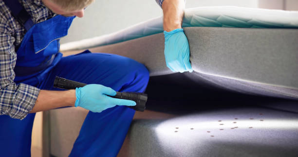 Best Cockroach Control Services  in Sonterra, TX