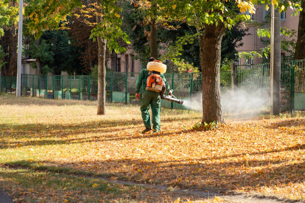 Trusted Sonterra, TX Pest Control Experts
