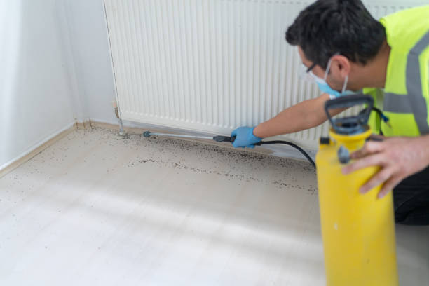 Best Pest Removal Services  in Sonterra, TX